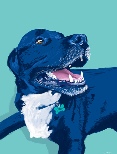Finn dog illustration procreate