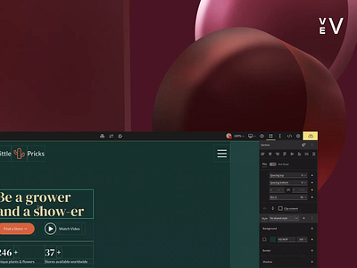webdesign web design