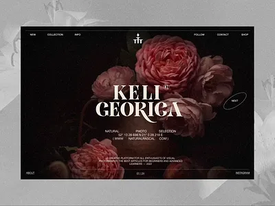 Keli Georica 3d ae animation art branding creative design dribbble figma flowers graphic design icon illustration logo ui ux ui design uiux uxui web website