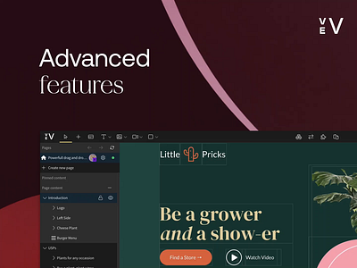 Vev. Advanced Features.