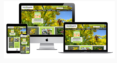 Best Wix Websites: Non-Profits non profit website design wix wix website