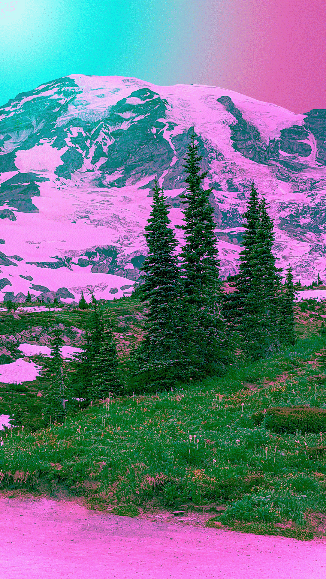 Hypercolorism - Paradise Meadows Mt. Rainier color gradient graphic design hypercolor landscape photoshop surreal surreal art surrealism trippy vibrant