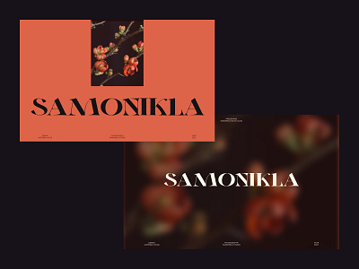 Samonikla presentation art composition design exploration figma flower grid layout presentation typography ui web