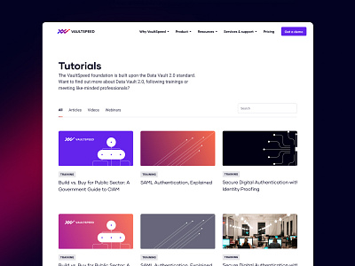 Vaultspeed recourses blog branding digital design resources saas saas website typography ui ux design visual design