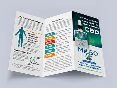 MESO Marketing Materials / Tri Fold branding design graphic design illustration logo typography vector