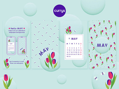 May Phone Wallpapers arts branding calendar design designer digital art digital illustration digitalart flowers graphic design illustration illustration art illustrator may phone phoneart tulips ui wallarts wallpapers