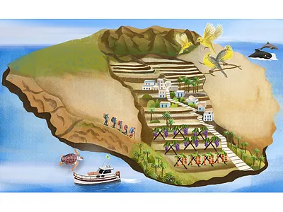 Islands: La Gomera, Spain birds boat bookillustration branding design digitalart graphics hiking illustration illustrator islands lagomera mountain ocean outdoor romantic spain visualstoryteller wildanimals