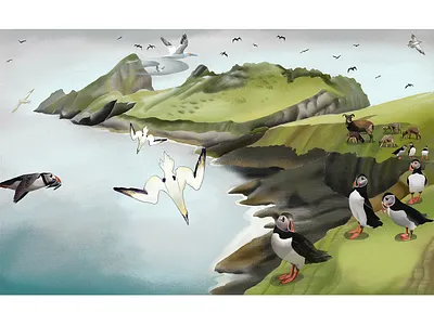 Islands:St Kilda, Scotland 3d birds book bookillustration branding design graphic design graphics green holiday illustration islands liftstyle nationgeography pacificbeach romantic scotland stkilda ui wildlife