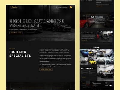 Armatura automobile automotive logo luxury car paint protection ui ux web