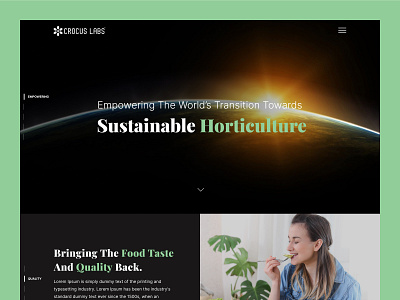 CR Labs agriculture agro design green greenhouse horticulture lighting organic food ui ux web