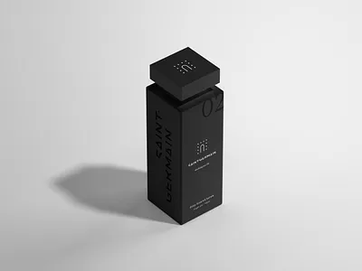 Saint-Germain Salon / Packaging Design art direction black white branding corporate identity cosmetics french touch graphic design graphiste freelance hair salon hairdresser logo logo design luxury mockup packaging