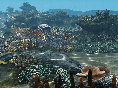 Underwater Coral Reef Habitat Ocean