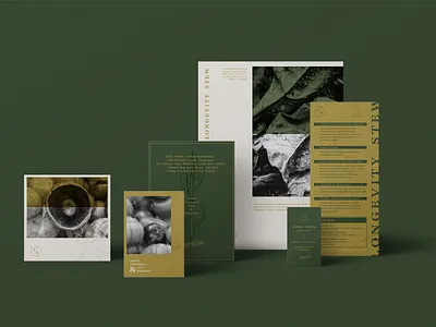 Longevity Stew Branding branding， doodle illustration logo