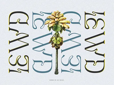 Remboy Display Font boho branding design display display font font graphic design illustration logo modern font retro serif typeface typography