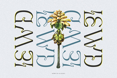 Remboy Display Font boho branding design display display font font graphic design illustration logo modern font retro serif typeface typography
