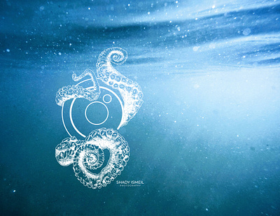 Shady Ismeil underwater photography illustration branding design flat graphic design icon illustration illustrator logo vector