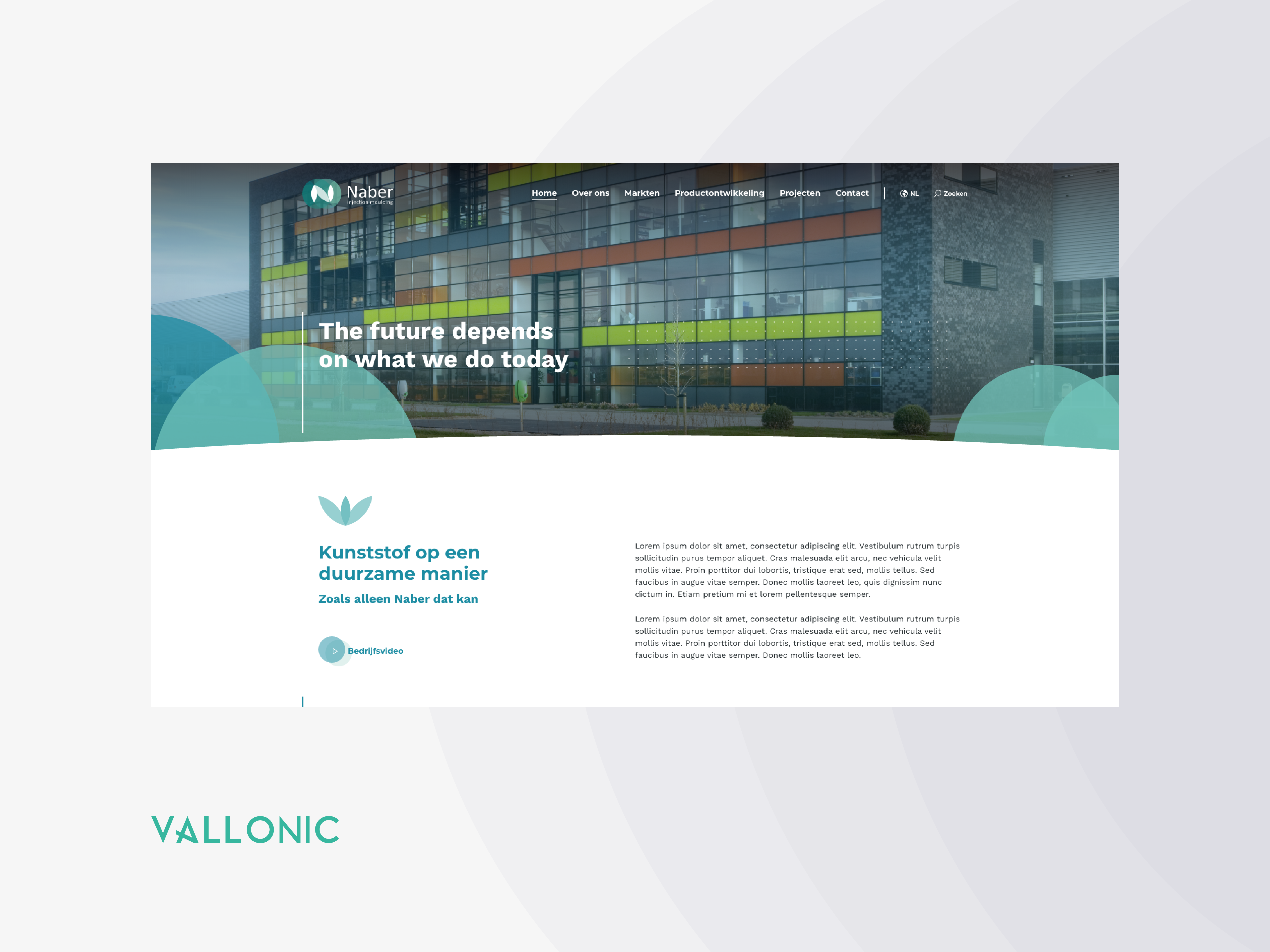 Example of Naberplastics.com