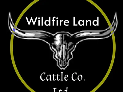 Logo Design attractive figma logo design uiux design