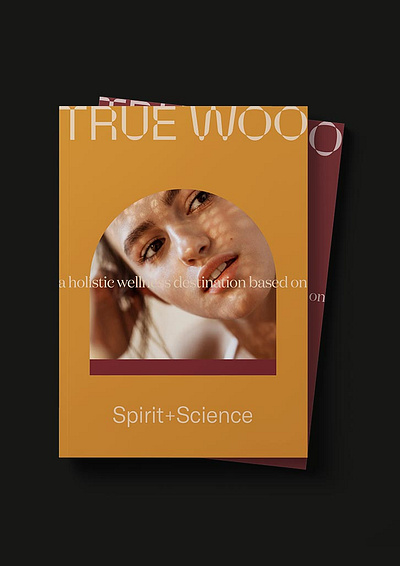 True Woo Brand Positioning & Identity Design brand identity brand positioning brand strategy branding identity design marketing communications