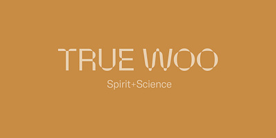 True Woo Brand Positioning & Identity Design branding