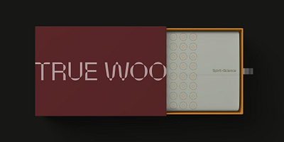 True Woo Brand Positioning & Identity Design brand design