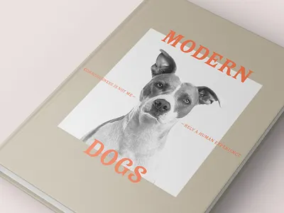 Antica font design font sudtipos typeface typography