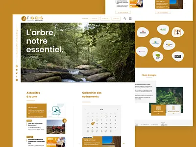 Fibois - Regional wood industry webdesign bois bretagne concept diary events france industrial industry news newsletter research search timber ui ux webdesign wood
