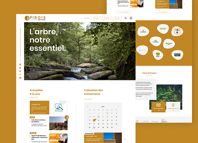 Fibois - Regional wood industry webdesign bois bretagne concept diary events france industrial industry news newsletter research search timber ui ux webdesign wood