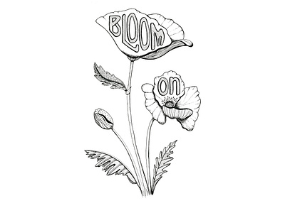 Bloom On bloom on design graphic design hand drawn hand lettered hand lettering illustration lettered phrase pacific northwest pen and ink pnw poppies poppy flower typography