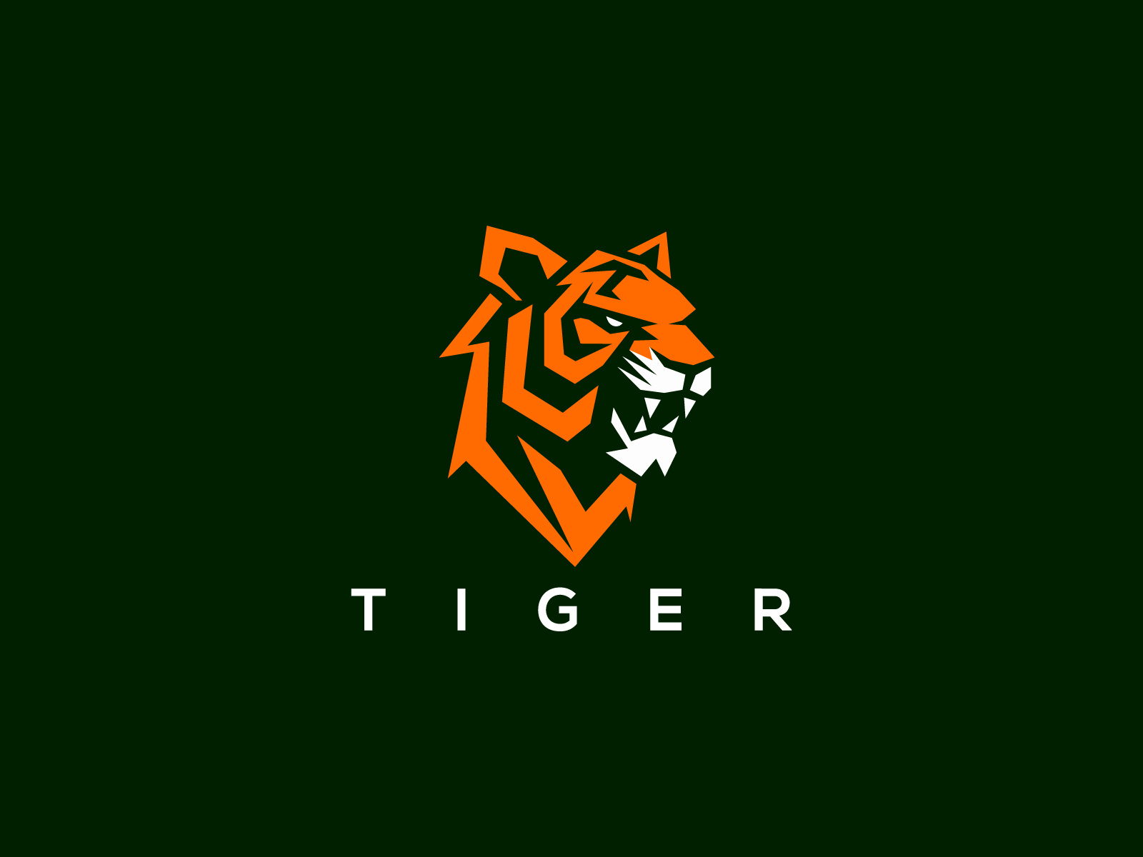 Example of Tiger Logo