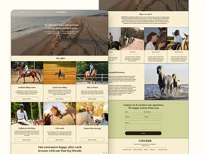 Website for Horse Tours & Classes animation branding design development figma graphic design logo ui ux web webdesign webflow website