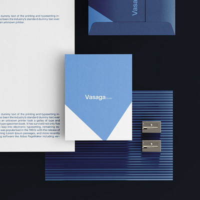 Vasaga® — Visual Identity alakallala alavisuals art brand brand design brand designer brand identity branding design logo logo design logo designer logos logotype logowork mark vector visual identity