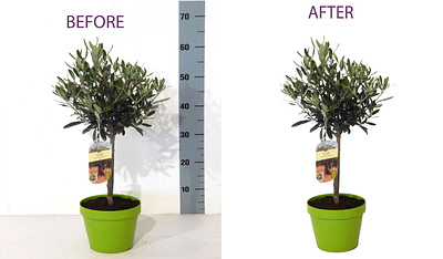 Background Remove/Clipping Path/Natural shadow adobe illustrator adobe photoshop background remove change background clipping path cutout image graphic design image editing multipath natural shadow photo editing photoshop edit product design transparent background