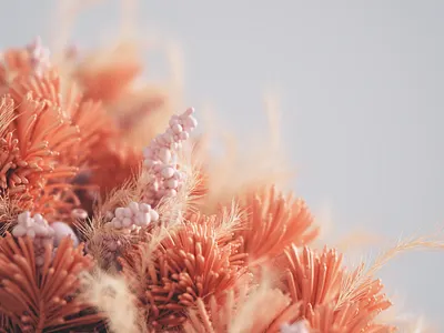 Bloom 3d cg cgi cinema4d design dribbble flower graphic design houdini illustration motion graphics octane redshift shot simulation ui web