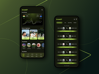 Cricket Fever Unleashed branding graphic design ui