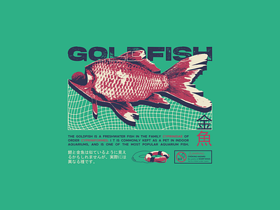 Goldfish - 金魚