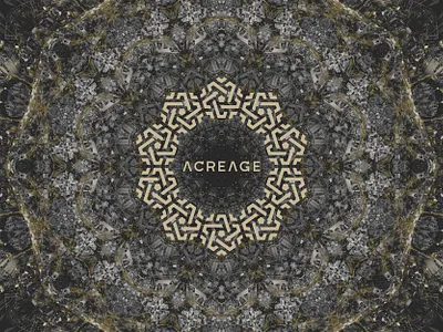 Acreage Coin / Logo design altcoin art direction bitcoin brand identity branding city corporate identity cryptocurrency gold foil graphic design graphiste freelance kaleidoscope logo logo design real estate star