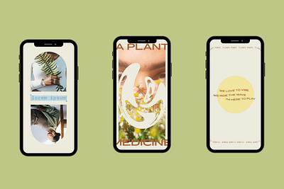 sweet sol plex instagram post art branding design instagram mobile template