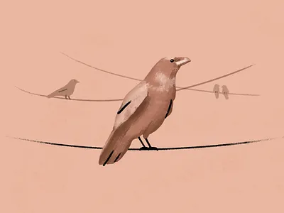 Raven 2d 3d bird birds color design illustration line natural paintbrush photoshop raven texture