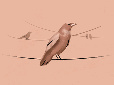 Raven 2d 3d bird birds color design illustration line natural paintbrush photoshop raven texture
