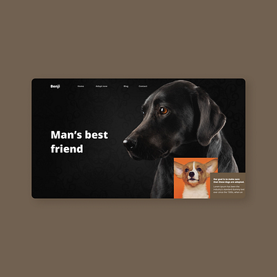Man's best friend. app branding design graphic design illustration logo typography ui ux vector