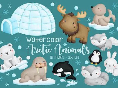 Watercolor Arctic Animal Clipart seal clipart