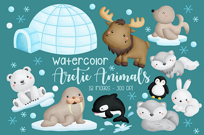 Watercolor Arctic Animal Clipart seal clipart