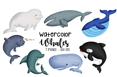 Watercolor Whale Type Clipart svg