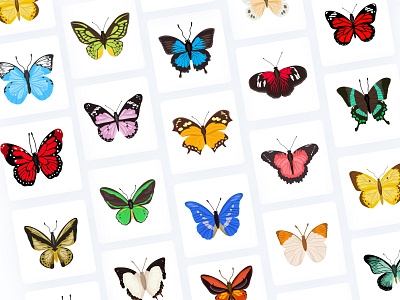 Butterfly Illustrations butterfly design flat icons icon icons icons set illustration illustrations set of icons