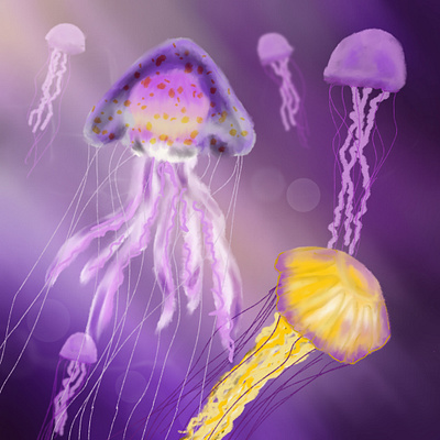 Jellies illustration jellyfish procreate purple
