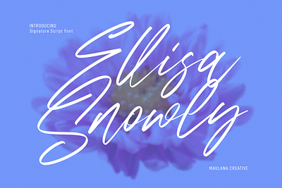 Ellisa Snowly Signature Script Font animation beauty branding calligraphy design font fonts graphic design halloween handmade illustration logo nostalgic script ui valentine wedding