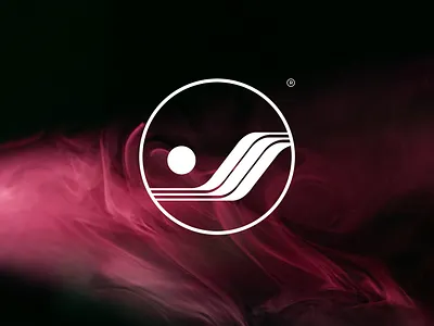 Exige Air airline airplane aviation branding design graphic design luxury