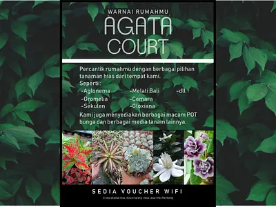 Ornamental plant shop flyer branding design graphic design pamflet pamphlet plant poster