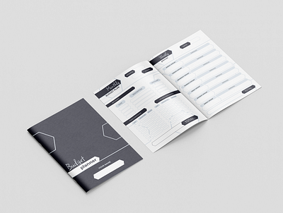 Design of the budget planner branding brochure design finance financial graphic design illustration money planner wealthy